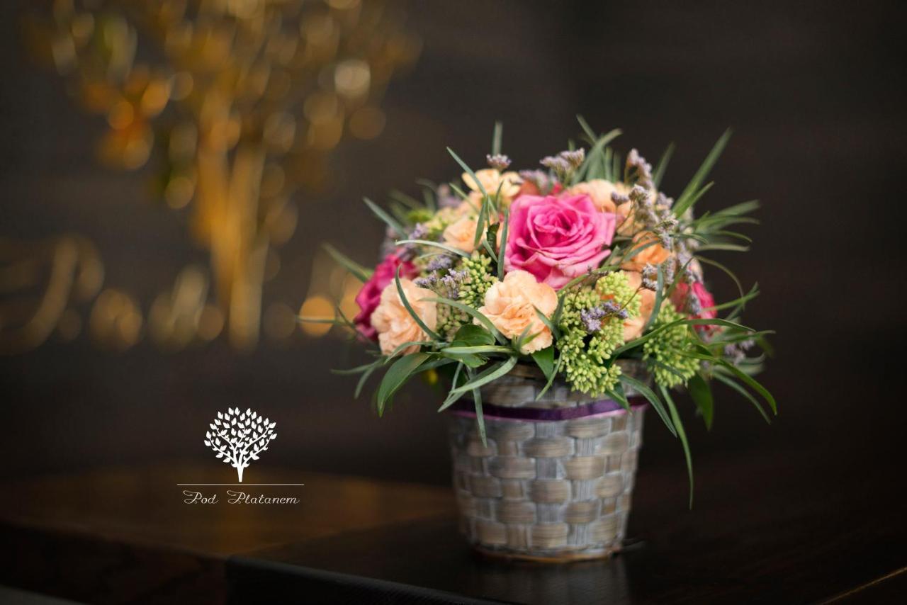 Szafirowy Dwor Hotel & Restauracja Gliwice Ngoại thất bức ảnh