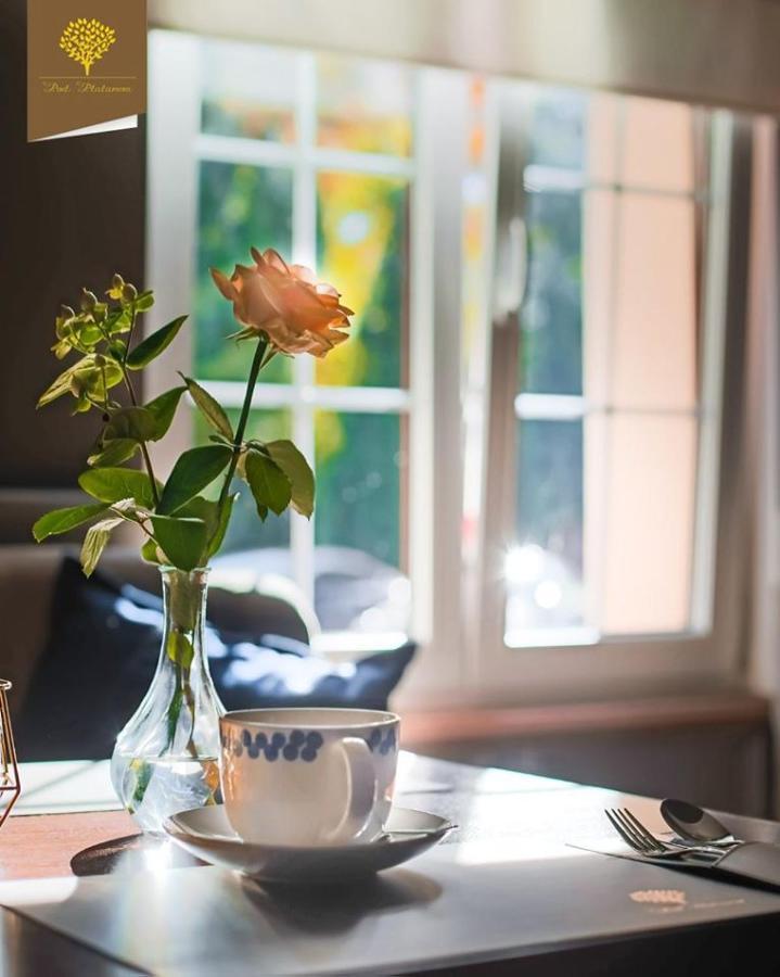 Szafirowy Dwor Hotel & Restauracja Gliwice Ngoại thất bức ảnh